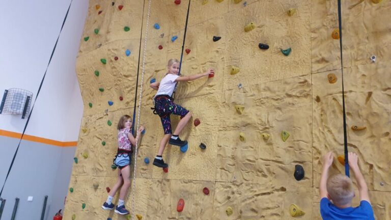 b2a543fa-7149-4c76-951a-5b7d484847d0