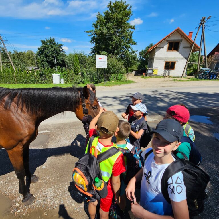 450868817_978306057419550_4848778879313639660_n